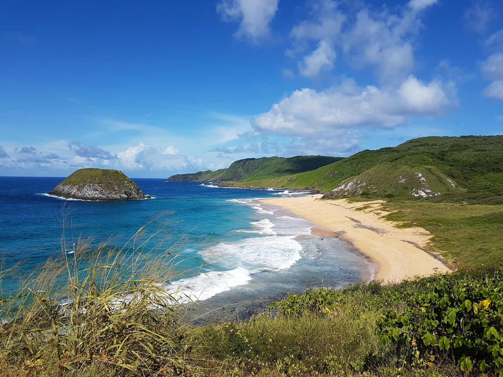 Spiaggia e colline verdi sulla costa brasiliana